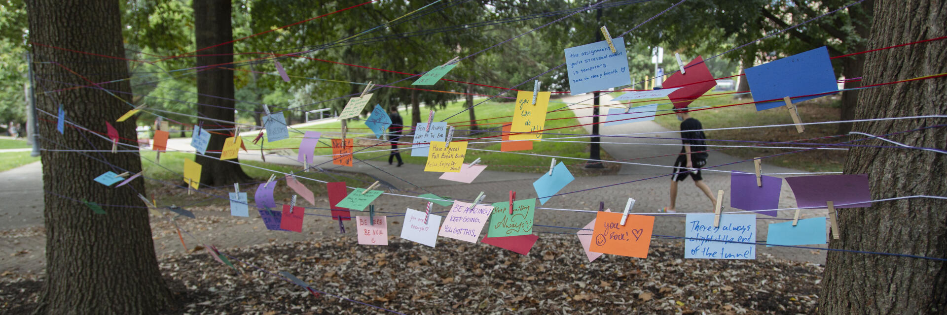 Notes of encouragement on trees in south oval